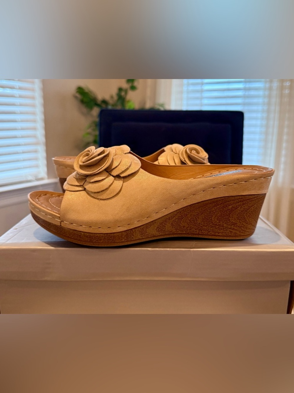 Good Choice Tokyo Floral Applique Gold Wedge Mules | Sz. 6.5 (NWB)